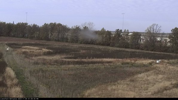 Cell 2_23-11-04_13-00-38-83