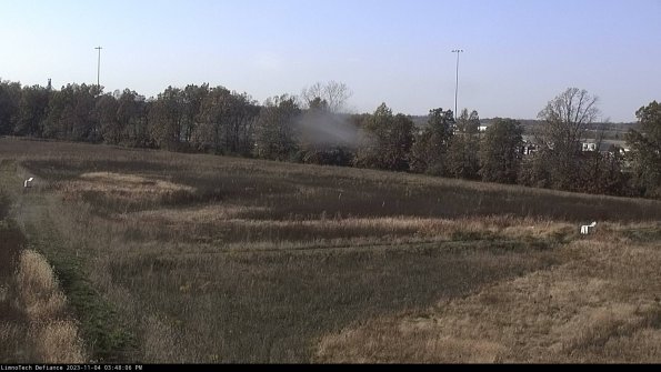 Cell 2_23-11-04_15-48-06-87