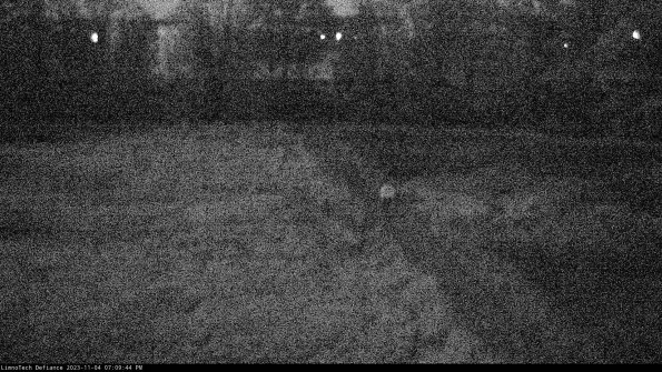 Cell 3 to 4_23-11-04_19-09-44-79