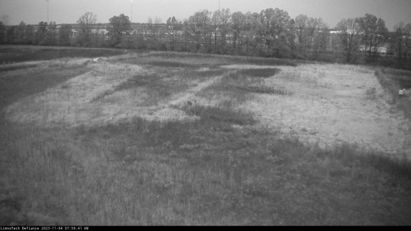 Cell 3_23-11-04_07-59-41-77