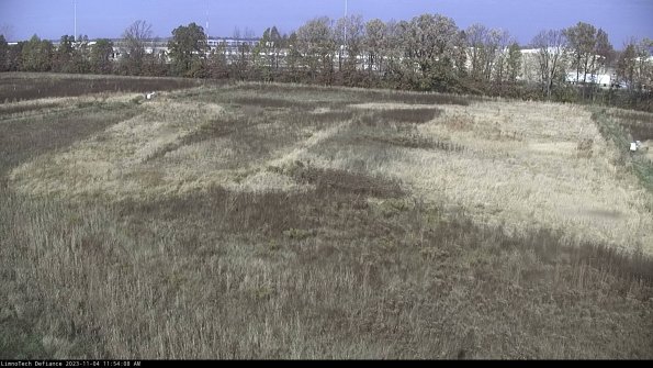 Cell 3_23-11-04_11-54-08-79