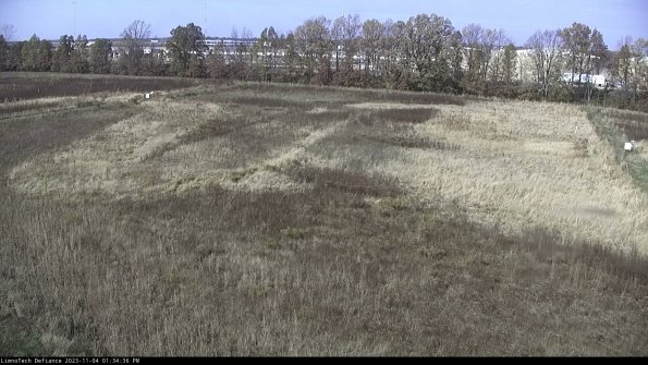 Cell 3_23-11-04_13-34-36-78