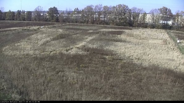 Cell 3_23-11-04_15-15-03-97