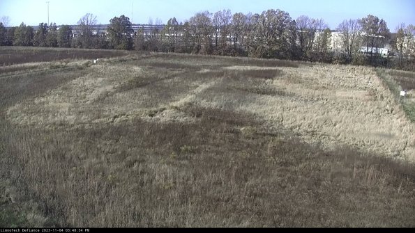 Cell 3_23-11-04_15-48-34-76