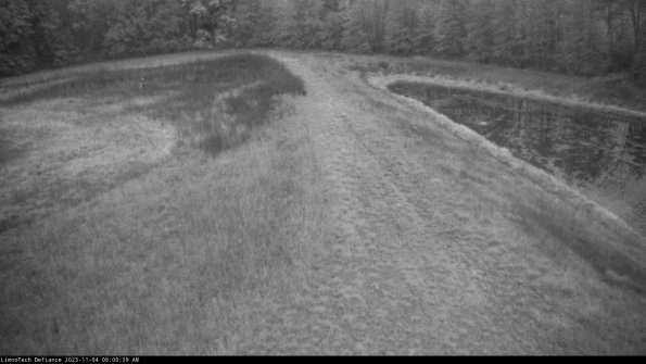 Cell 4 to Basin_23-11-04_08-00-39-79