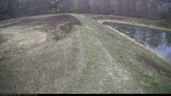 Cell 4 to Basin_23-11-04_08-34-10-81