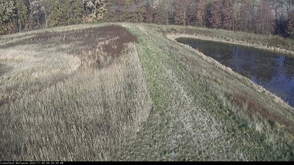 Cell 4 to Basin_23-11-04_16-56-30-79