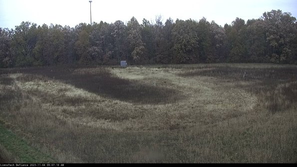 Cell 4_23-11-04_09-07-10-76