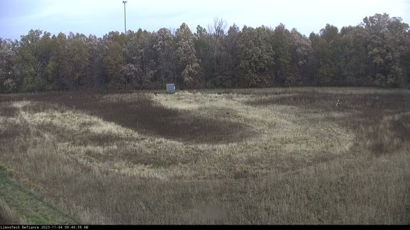 Cell 4_23-11-04_09-40-39-78