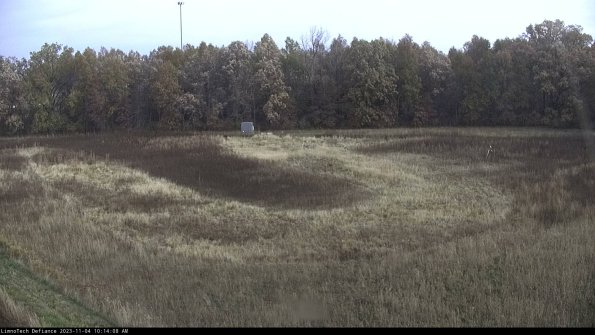 Cell 4_23-11-04_10-14-08-76