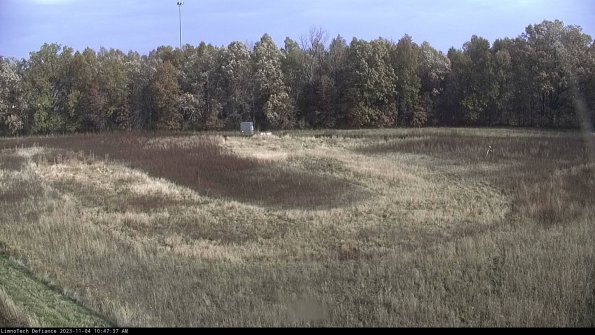 Cell 4_23-11-04_10-47-37-78