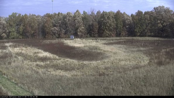 Cell 4_23-11-04_11-54-36-78