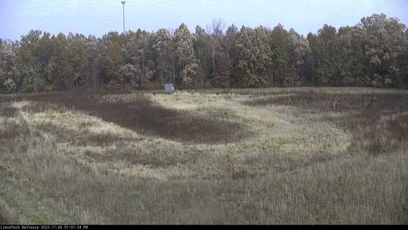 Cell 4_23-11-04_13-01-34-76