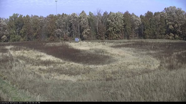 Cell 4_23-11-04_14-08-34-80