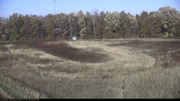 Cell 4_23-11-04_15-49-02-79