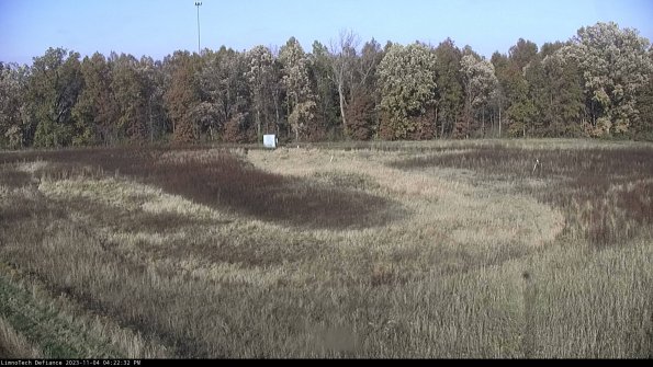 Cell 4_23-11-04_16-22-32-78