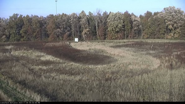 Cell 4_23-11-04_16-56-00-80