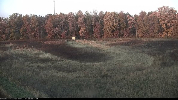 Cell 4_23-11-04_18-03-00-77