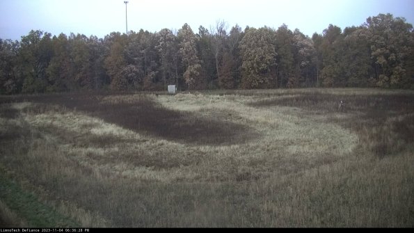 Cell 4_23-11-04_18-36-28-79