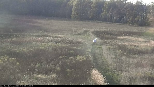 Cell 1 to 2_23-11-05_16-28-43-77