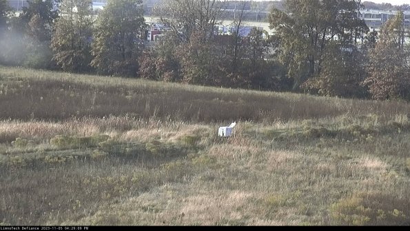 Cell 2 to 3_23-11-05_16-29-09-99