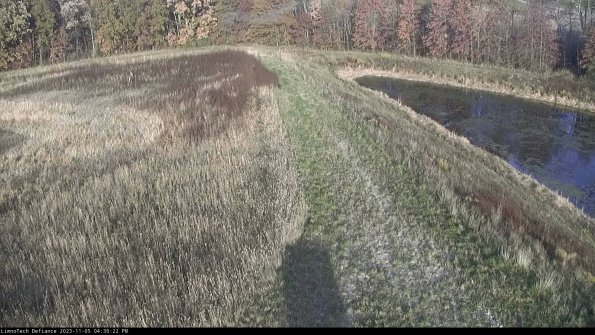 Cell 4 to Basin_23-11-05_16-30-22-80