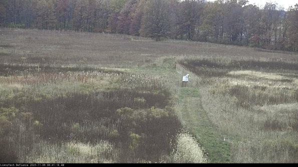 Cell 1 to 2_23-11-09_08-41-16-90