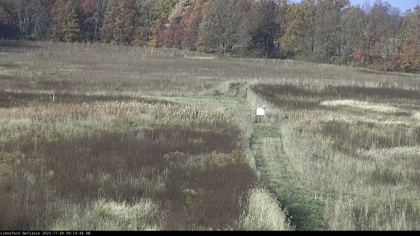 Cell 1 to 2_23-11-09_09-14-46-79