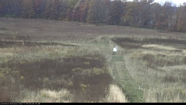 Cell 1 to 2_23-11-09_09-48-16-81