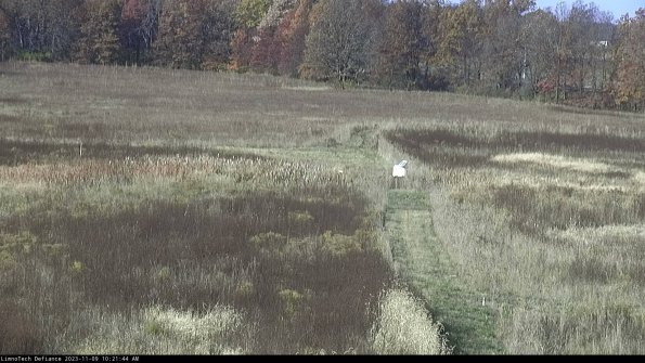 Cell 1 to 2_23-11-09_10-21-44-79