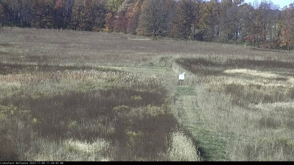 Cell 1 to 2_23-11-09_11-28-43-79