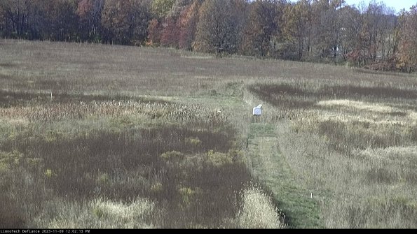 Cell 1 to 2_23-11-09_12-02-13-78