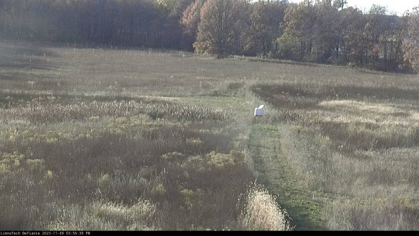 Cell 1 to 2_23-11-09_15-56-39-78