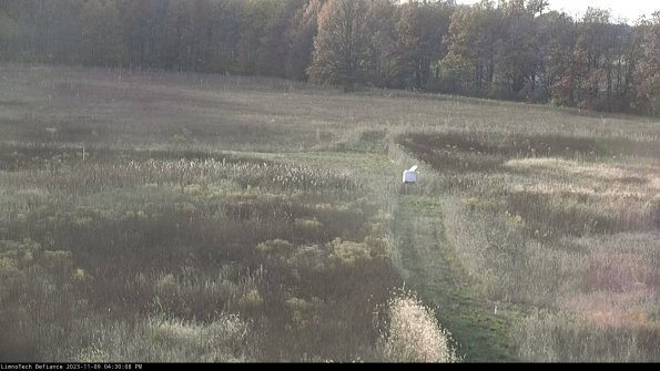 Cell 1 to 2_23-11-09_16-30-08-83