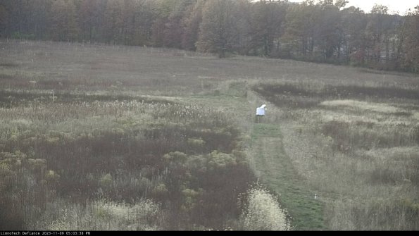 Cell 1 to 2_23-11-09_17-03-38-78