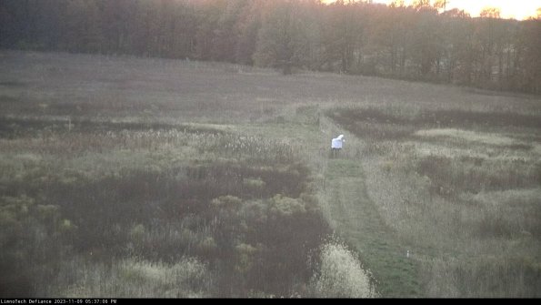 Cell 1 to 2_23-11-09_17-37-06-80