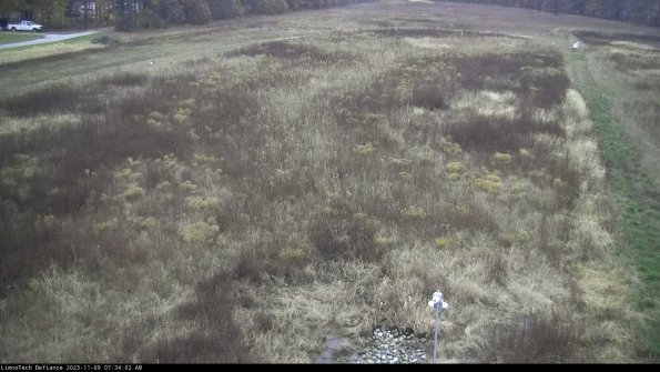 Cell 1_23-11-09_07-34-02-79