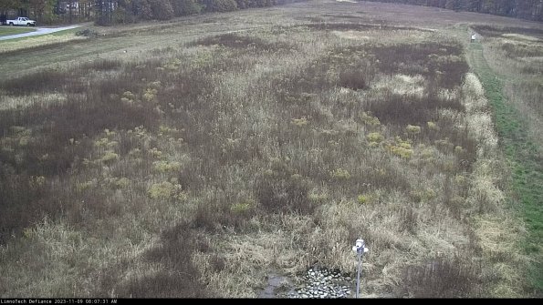 Cell 1_23-11-09_08-07-31-80