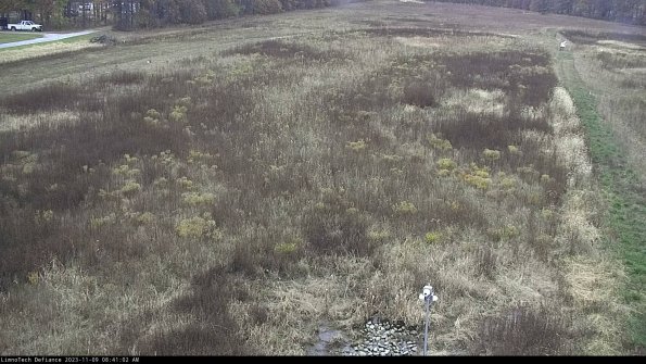 Cell 1_23-11-09_08-41-02-86