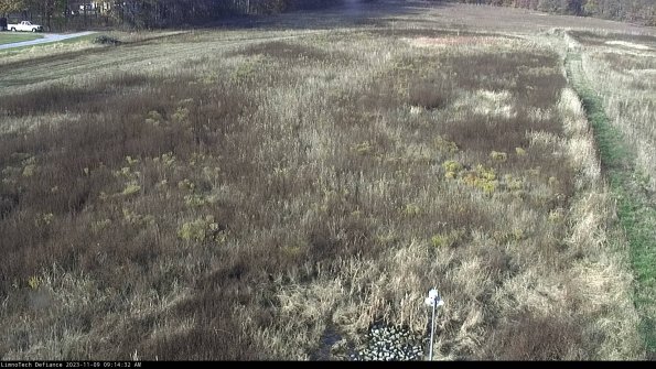 Cell 1_23-11-09_09-14-32-81