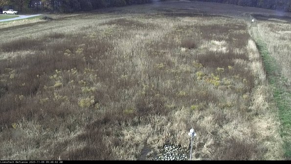 Cell 1_23-11-09_09-48-02-79