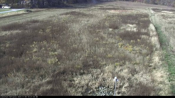 Cell 1_23-11-09_10-21-30-77