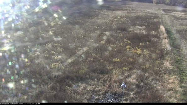 Cell 1_23-11-09_15-56-25-77