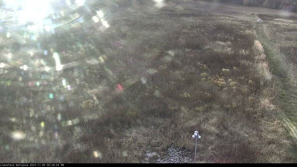 Cell 1_23-11-09_16-29-54-79