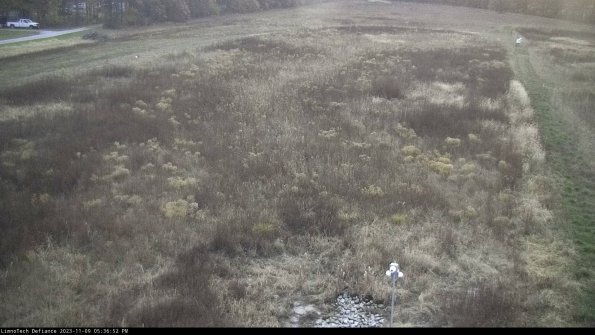 Cell 1_23-11-09_17-36-52-79