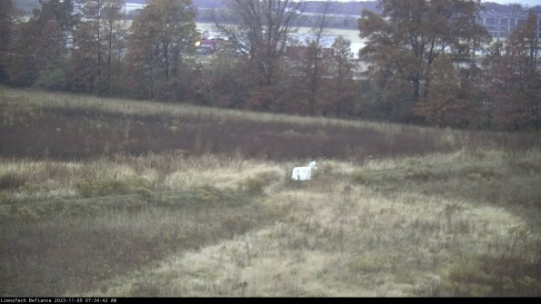 Cell 2 to 3_23-11-09_07-34-42-86