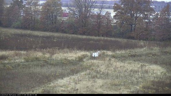 Cell 2 to 3_23-11-09_08-08-12-01