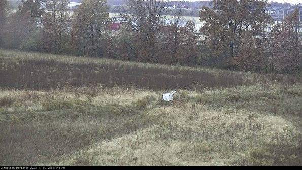 Cell 2 to 3_23-11-09_08-41-43-06