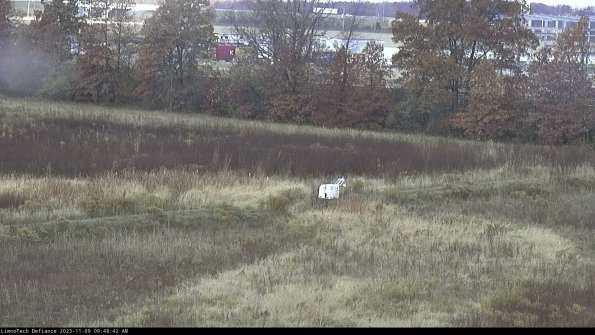 Cell 2 to 3_23-11-09_09-48-42-86