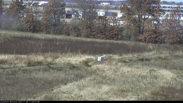 Cell 2 to 3_23-11-09_11-29-09-89